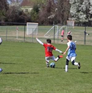 Meet your Posher, Jayden